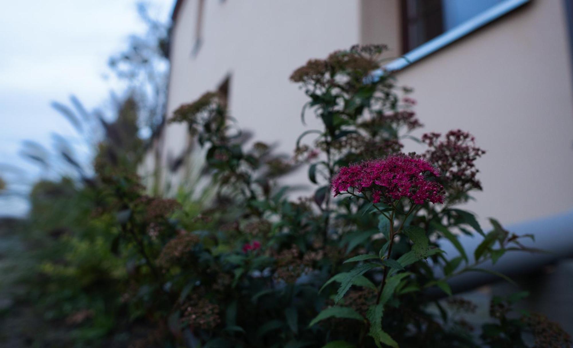 Uroczysko Olesnica Bed & Breakfast Chodzież Екстериор снимка