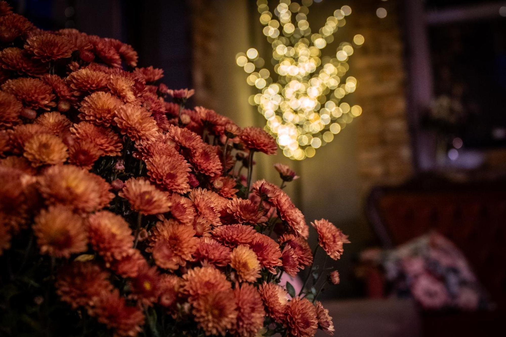 Uroczysko Olesnica Bed & Breakfast Chodzież Екстериор снимка