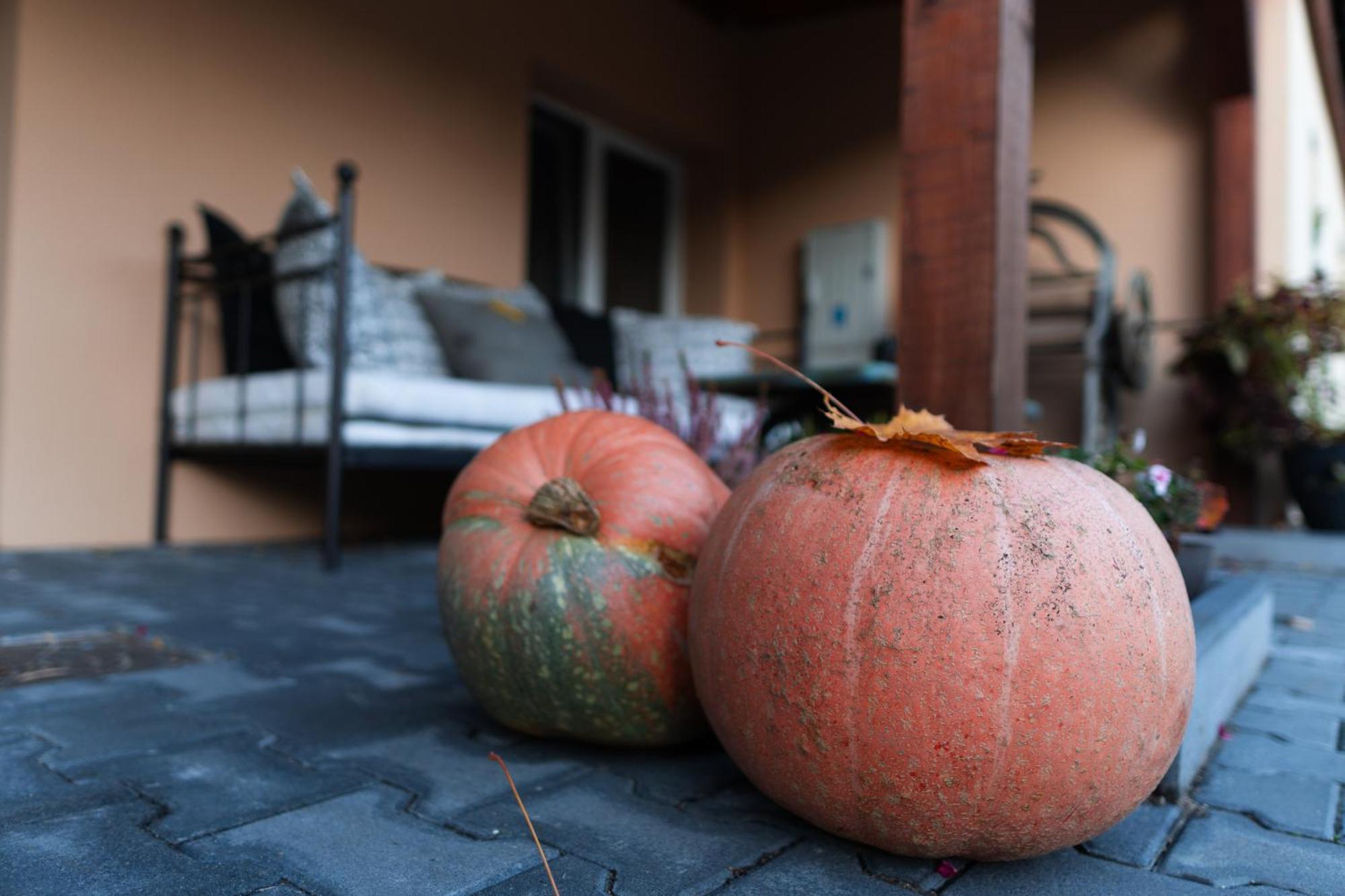 Uroczysko Olesnica Bed & Breakfast Chodzież Екстериор снимка